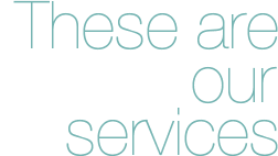 These are our services